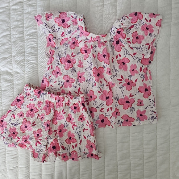 Zara Other - Zara Pink Floral Kids Matching Set